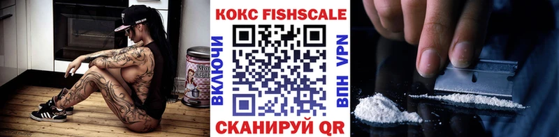 купить наркоту  Чегем  Cocaine Эквадор 