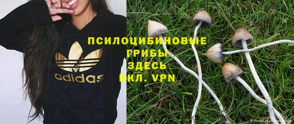 первитин Белокуриха
