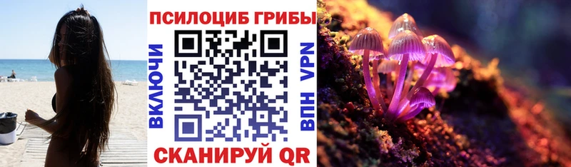 Галлюциногенные грибы мицелий  Чегем 