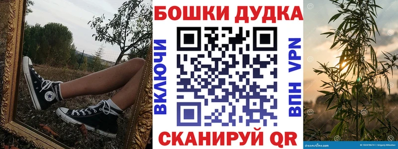 где купить наркоту  Чегем  Конопля семена 